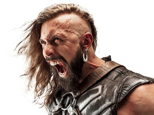 vikingo_home